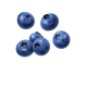 BlueBerry-3